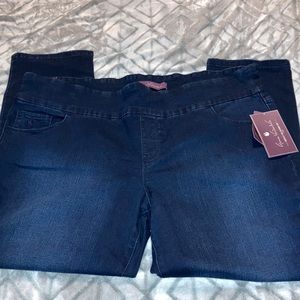 NWT Gloria Vanderbilt 20w Short pull on jeans